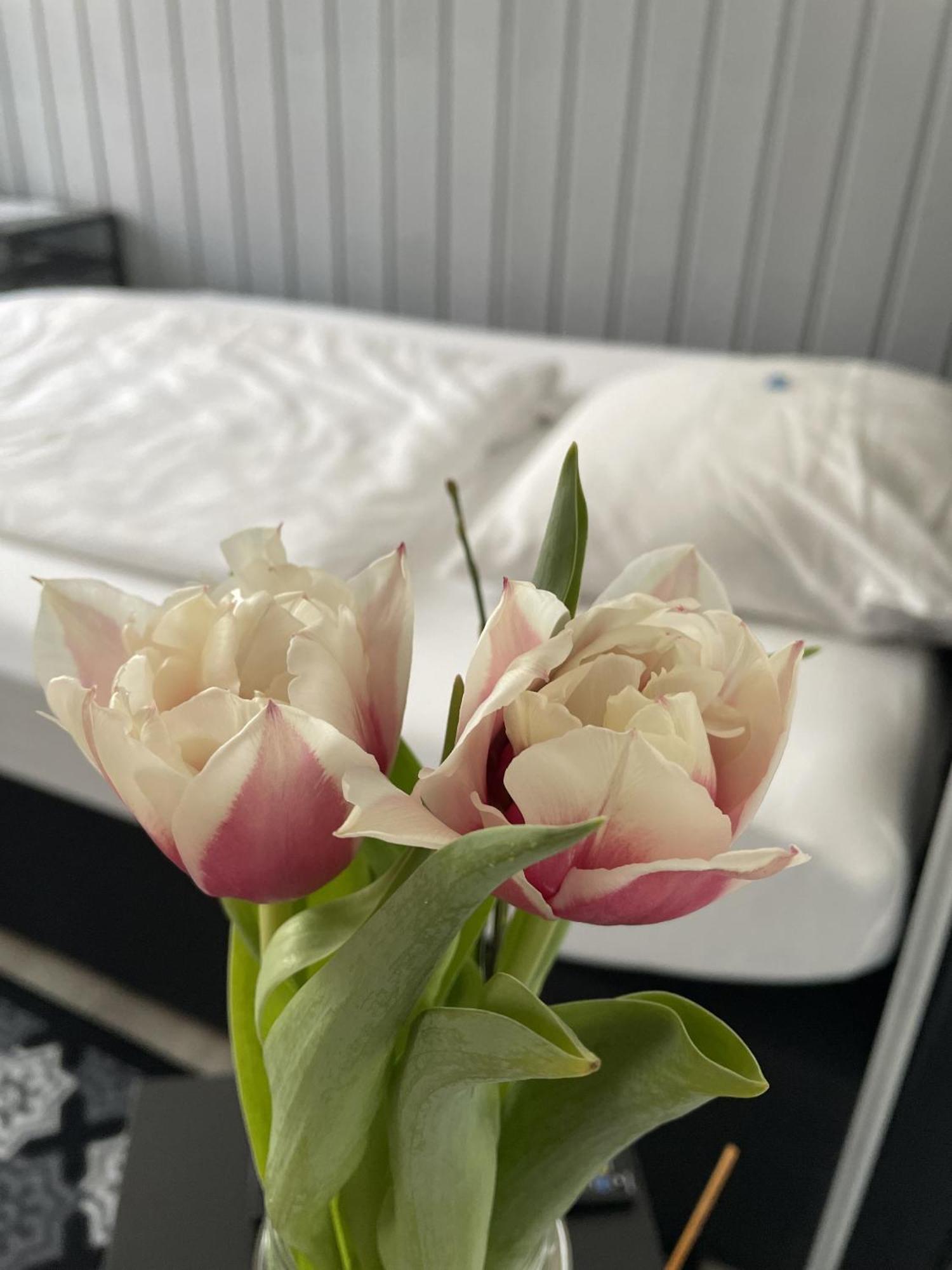 Hotel Jaegerhof Kettwig Есен Стая снимка